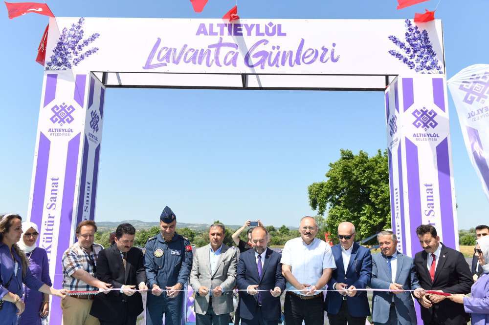 Altıeylül lavanta günleri başladı 