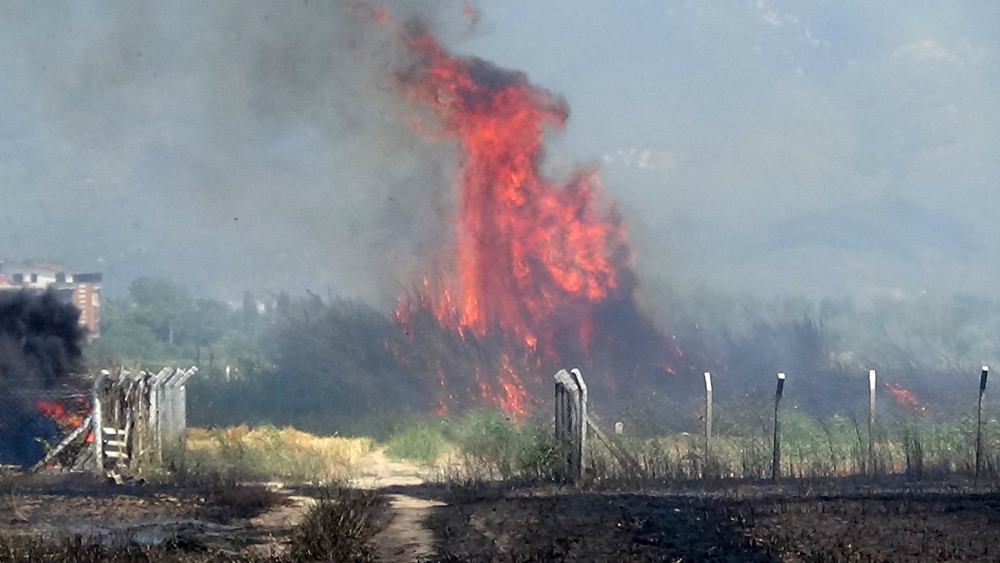 Yangından yüzlerce dönüm tarım arazisi zarar gördü